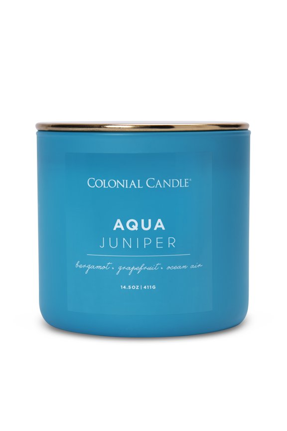 Aqua Juniper 3 Wick Candle, 14.5 oz, Blue