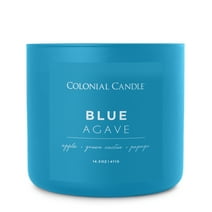 Colonial Candle Blue Agave Scented Jar Candle - Pop of Color Collection - 14.5 oz - 60 hr Burn