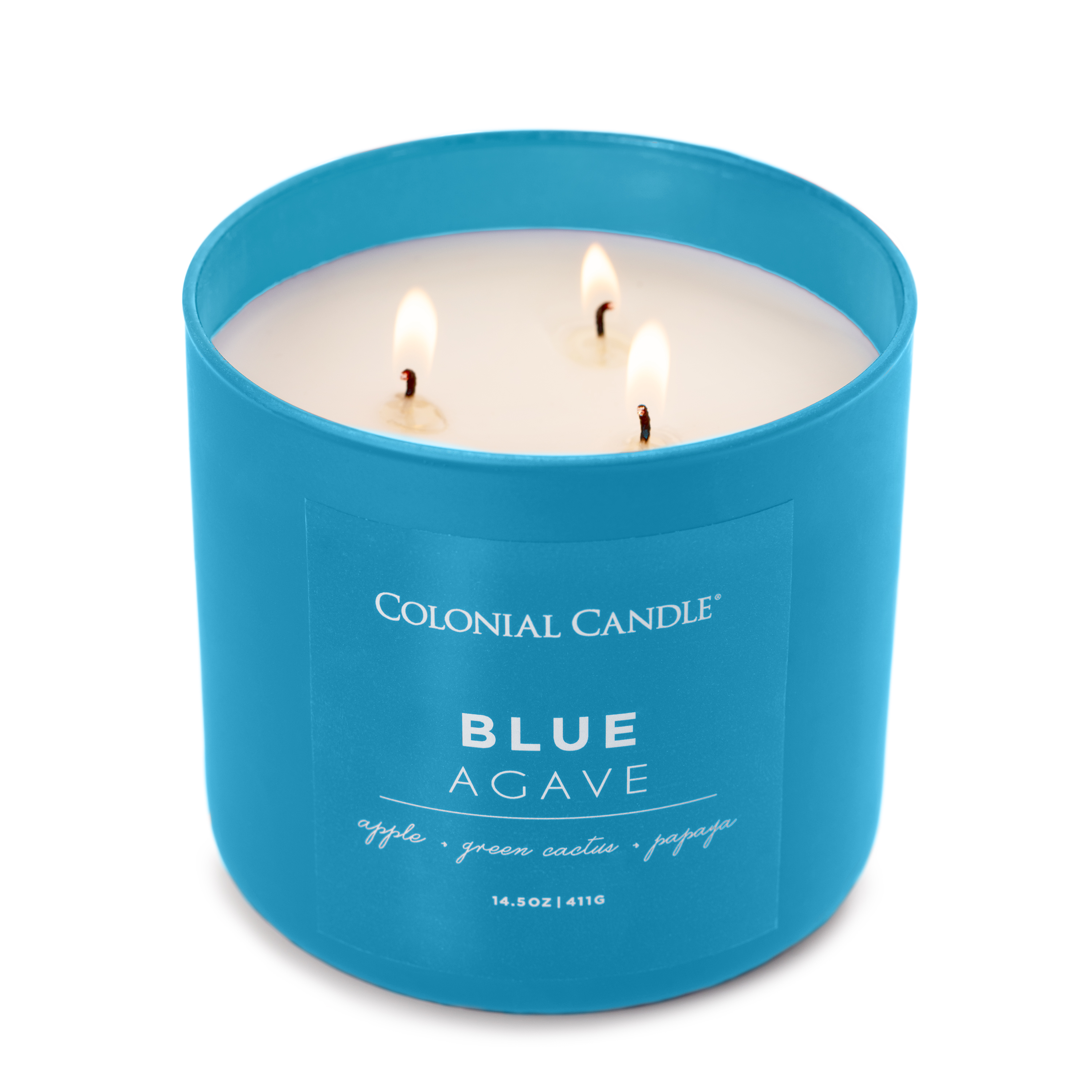 Ocean Theme Blue Beeswax Candling Meat Scented Candle Bayberry ocean-theme-blue-beeswax-candling-meat-scented-candle-bayberry