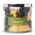 thumbnail image 1 of Colonial Candle Cabana Leaf 14.5oz 3 Wick Candle, Multicolor, 1 of 6