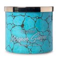 thumbnail image 1 of Colonial Candle Mojave Ginger 14.5 oz 3 Wick Candle, Multicolor, 1 of 6