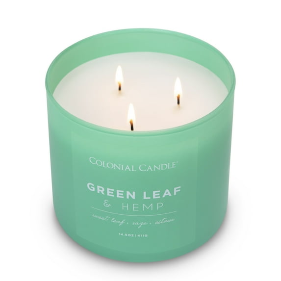 Colonial Candle Pop of Color Green Leaf & Hemp Jar Candle, 3 Wick, 14.5 oz, 80 Hours Burn, Floral