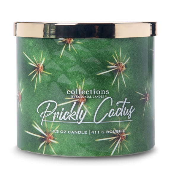 Colonial Candle Prickly Cactus 14.5oz 3 Wick Candle