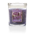 thumbnail image 1 of Colonial Candle Scented Jar Candle, Wisteria, 8 oz, Single, 1 of 1