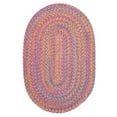 thumbnail image 1 of Colonial Mills Botanical Isle Braided Pink Area Rug 10x10, 1 of 2