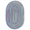 thumbnail image 1 of Colonial Mills Botanical Isle Chenille Braided Area Rug - Oasis Blue, 1 of 1