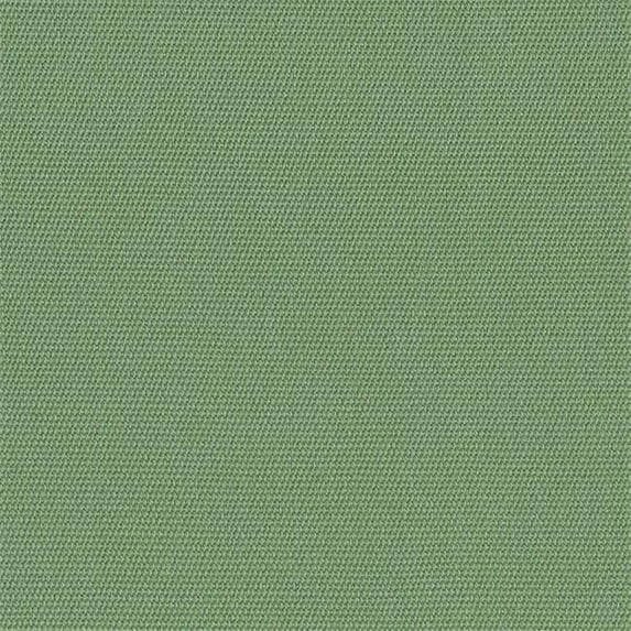 Colonial Mills Rug LS07R024X036S 2 x 3 ft. Sunbrella Solid Braided Rug- Basil