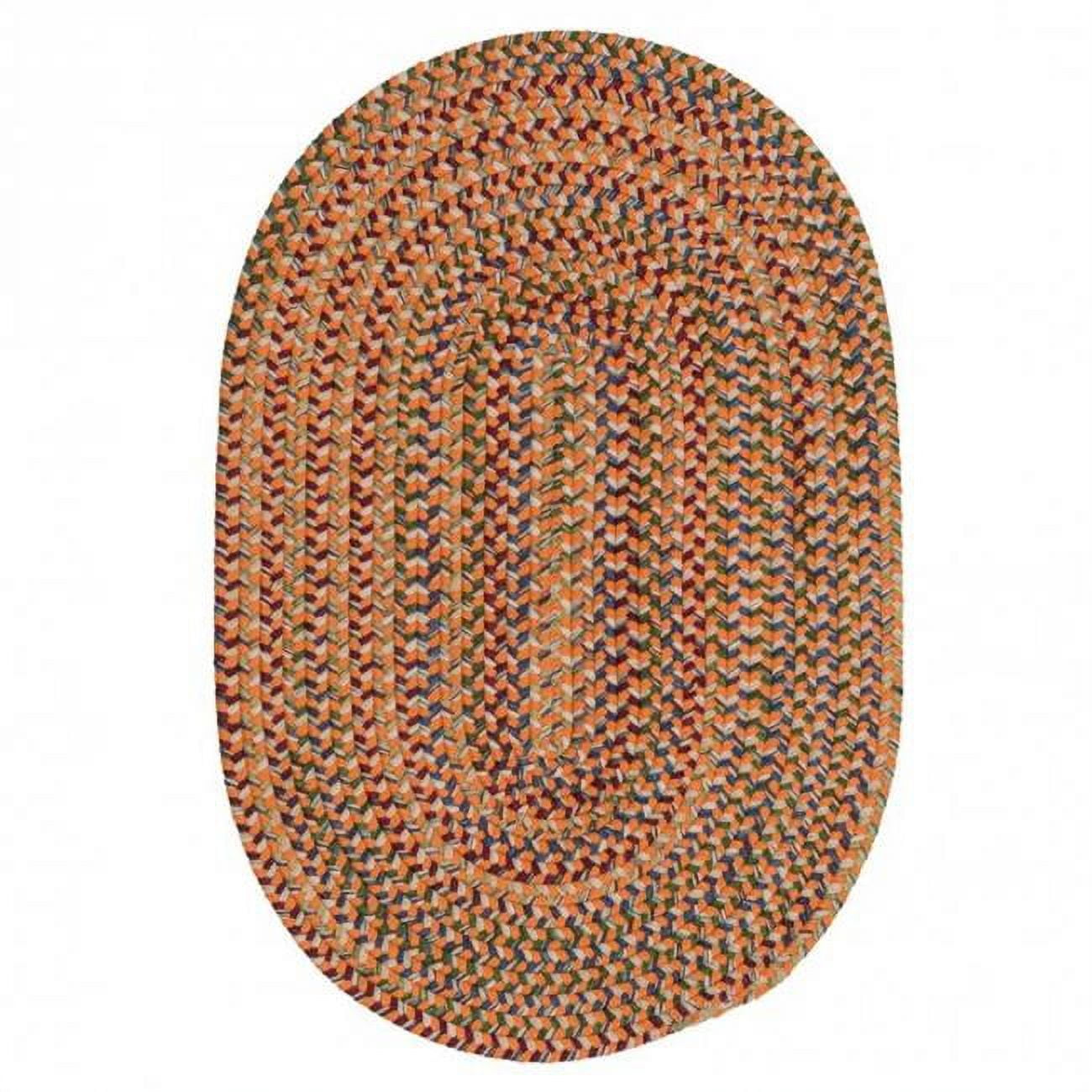 Colonial Mills Worley Rustic Farmhouse Braided Multicolor Oval Rug