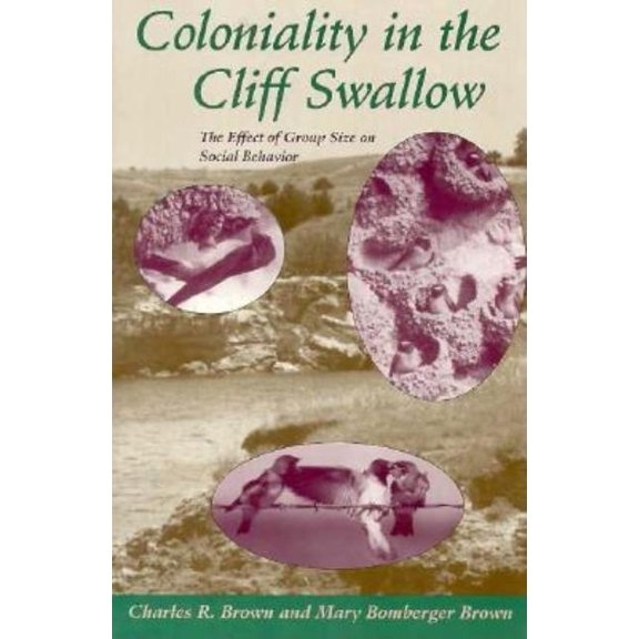 Coloniality in the Cliff Swallow : The Effect of Group Size on Social Behavior (Paperback)