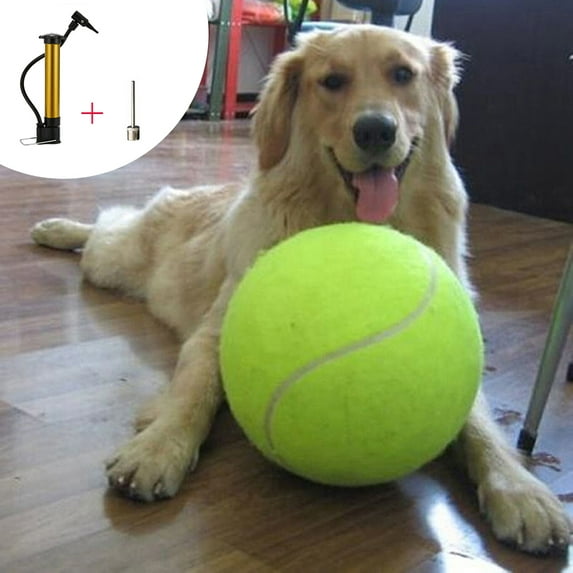 Coloody 9.5" Pet Dog Tennis Ball Kids Toy Best Gifts for Large Dogs Big Dog Toy