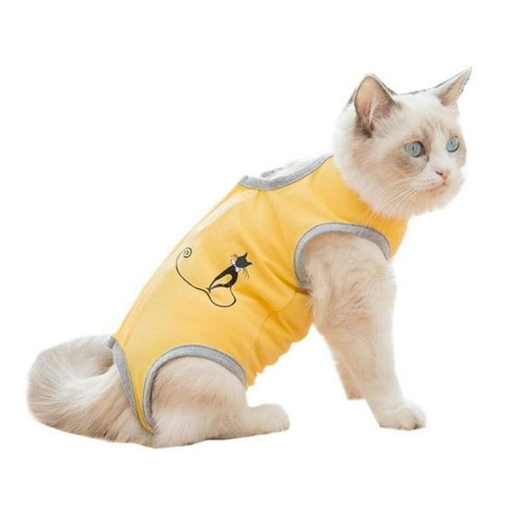 Coloody Cat Wound Surgery Recovery Suit for Abdominal Wounds or Skin Diseases