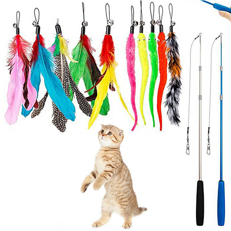 Coloody Feather Teaser Cat Toy, 2PCS Retractable Cat Wand Toys and 10PCS Replacement Teaser