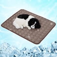 thumbnail image 1 of Coloody Pet Dog Washable Dog Cooling Mat Ice Silk Pet Self Cooling Pad Blanket,Suitable for Dogs and Cats, 1 of 8