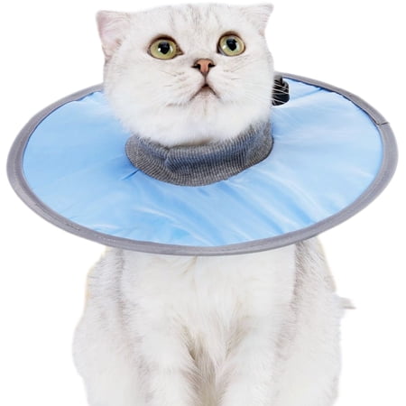 Coloody Waterproof Cat Cone After Surgery Adjustable Elizabeth Collar Cat For Wound Healing Anti-Bite Lick Wound