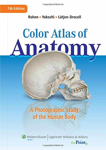 Pre-Owned Color Atlas of Anatomy : A Photographic Study of the Human Body (Hardcover) 9781582558561