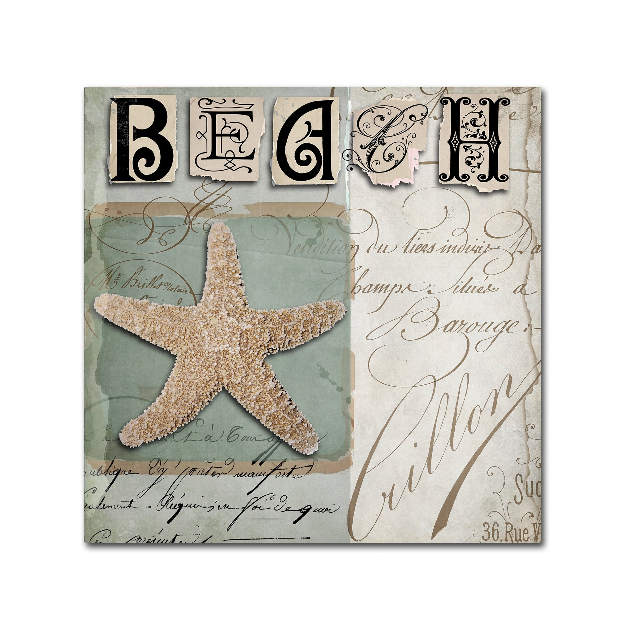 Beach Starfish French Script Coastal Canvas Art