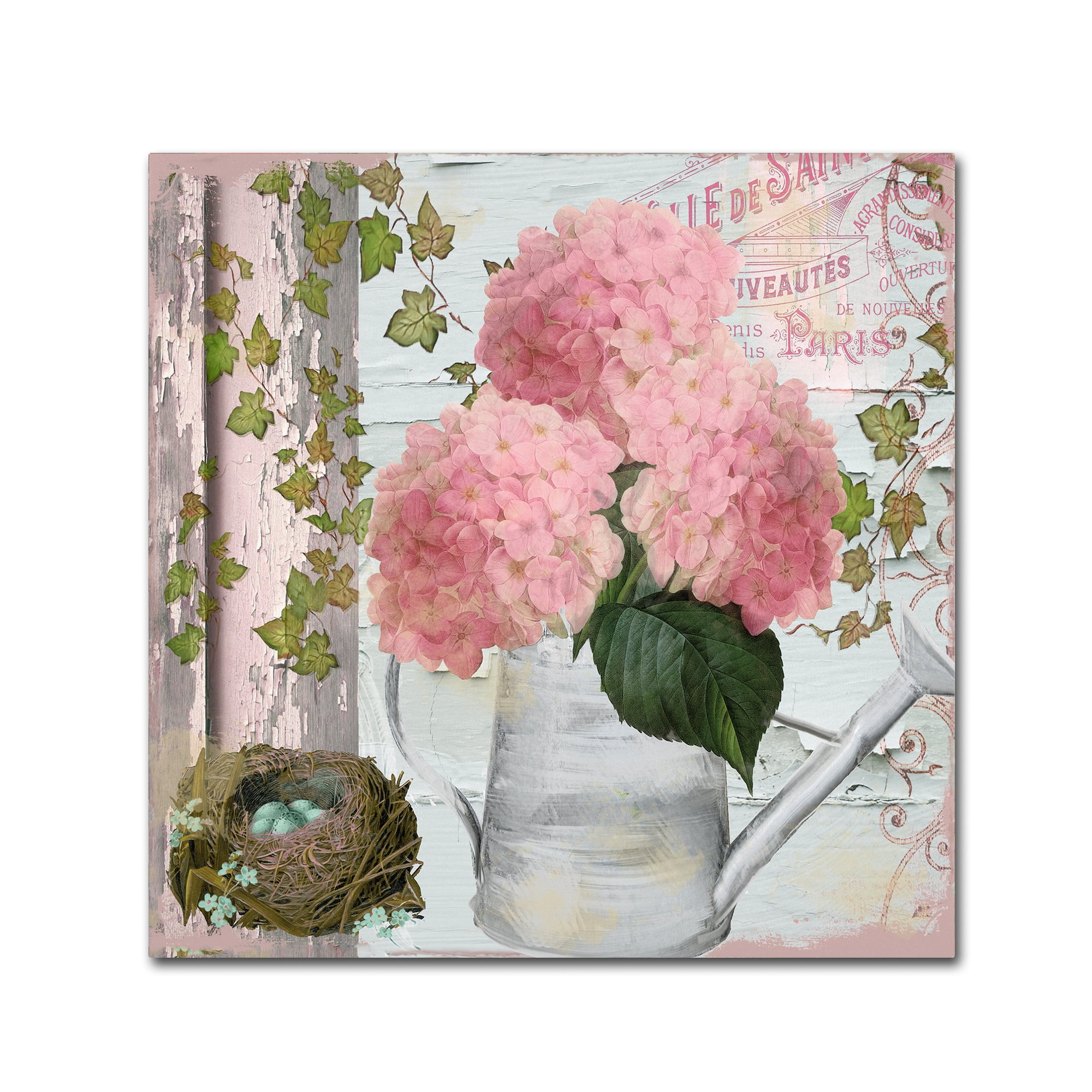 Color Bakery 'Chalet d'Ete Hydrangea' Canvas Art