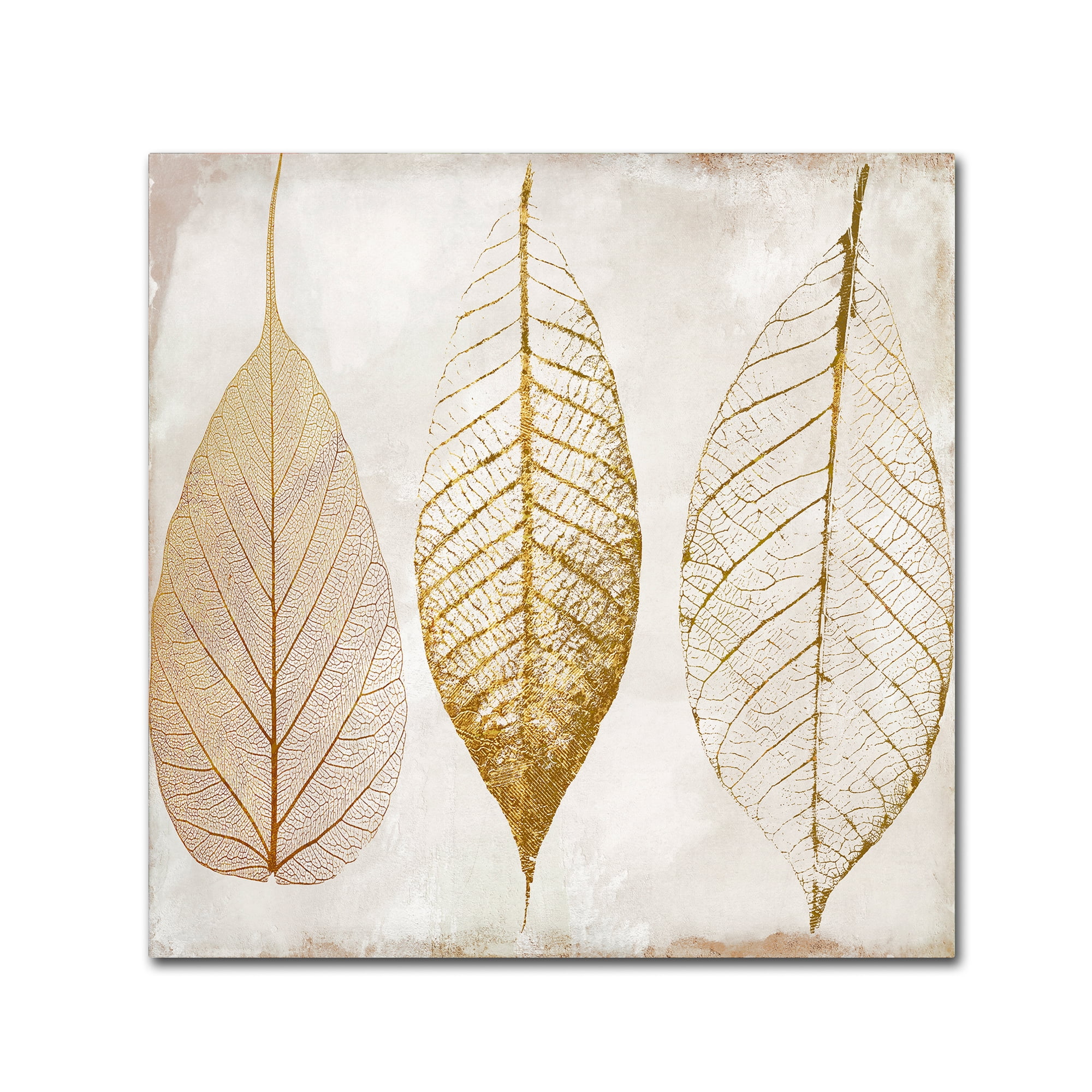 Fallen Gold II Tan and Gold Canvas Art 24'' x 24''