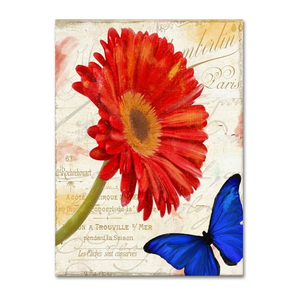 Color Bakery 'Gerbera Daisy' Canvas Art