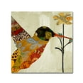 thumbnail image 1 of Color Bakery 'Hummingbird Brocade III' Canvas Art, 1 of 4