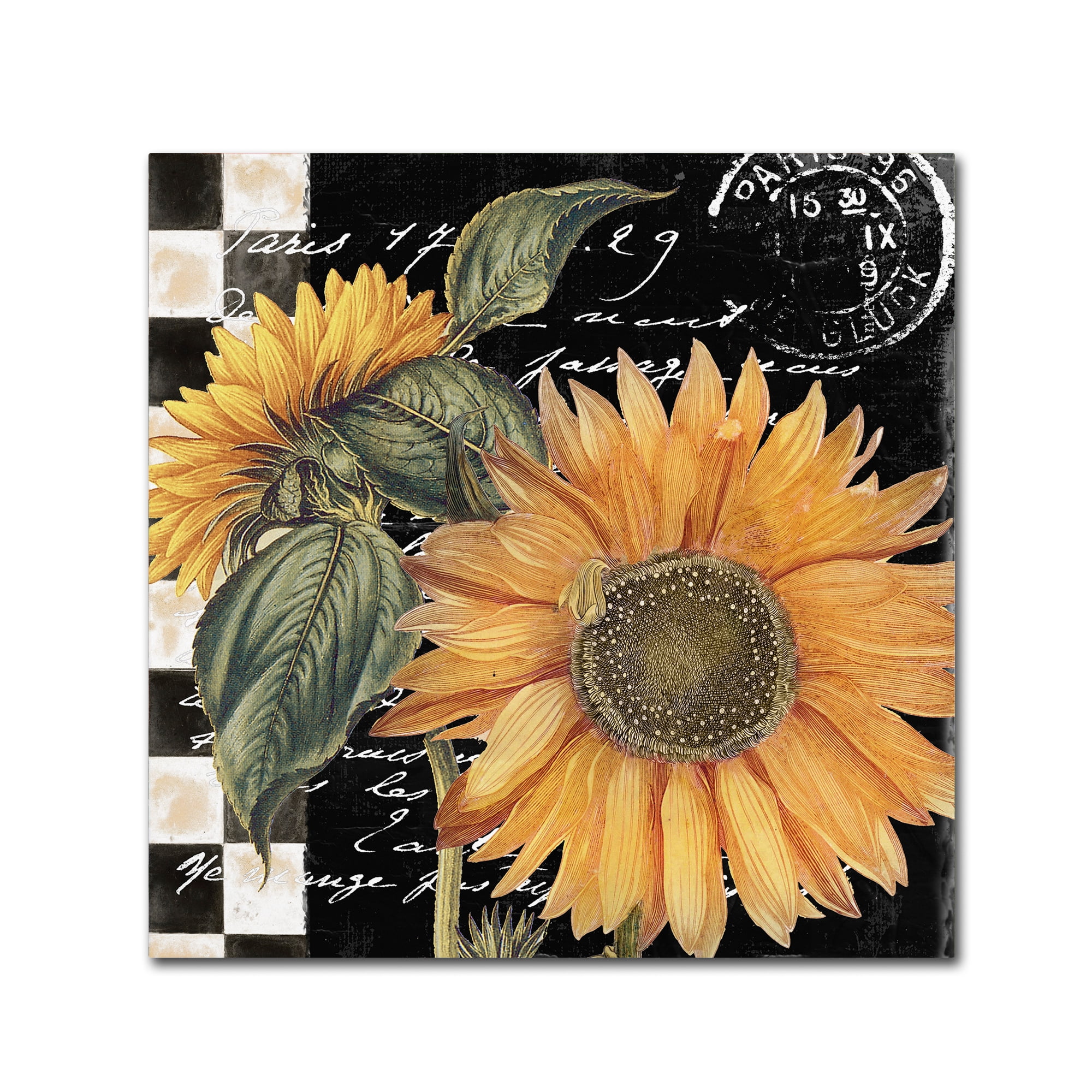 24" x 24" Sunflower and Script Canvas Art