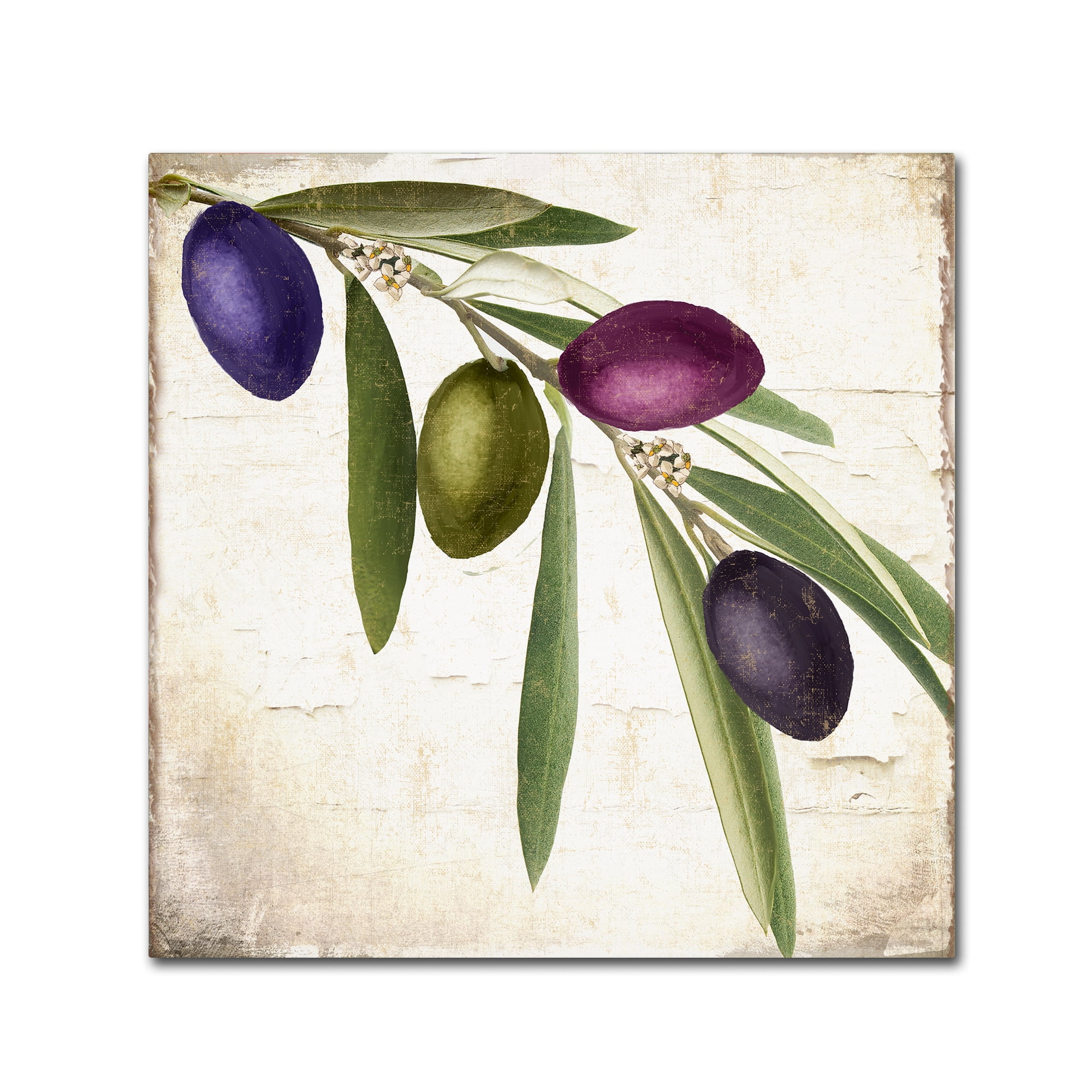 Olive Branch IV 24" x 24" Canvas Art in Green and Purple