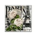 thumbnail image 1 of Color Bakery 'Paris Blanc II' Canvas Art, 1 of 4