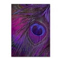 thumbnail image 1 of Color Bakery 'Peacock Candy IV' Canvas Art, 1 of 4