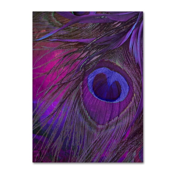 Color Bakery 'Peacock Candy IV' Canvas Art