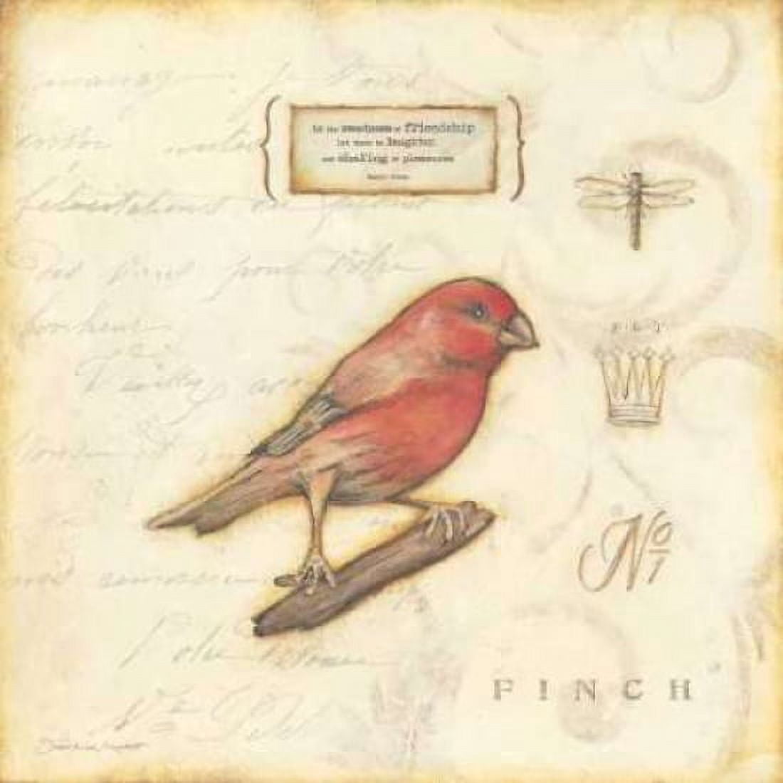 Color Bird I Canvas Art - Stephanie Marrott (24 x 24)