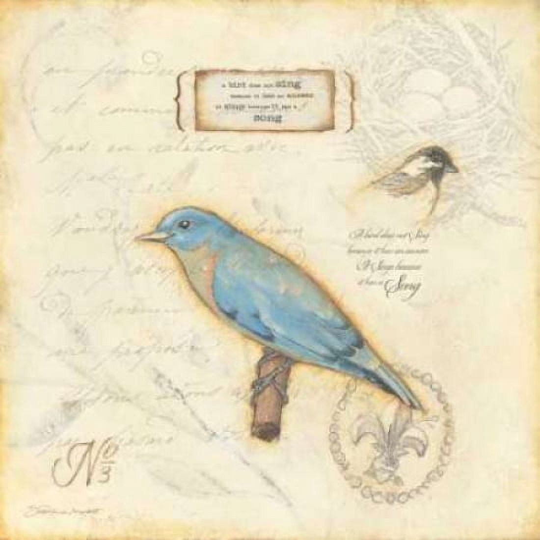 Color Bird III Canvas Art - Stephanie Marrott (24 x 24)