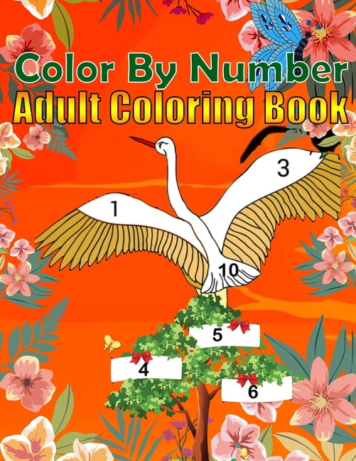 Color By Number Coloring Book For Adults: Large Print Birds, Flowers,  Animals and Pretty Patterns (Adult Color By Number) (Large Print /  Paperback)