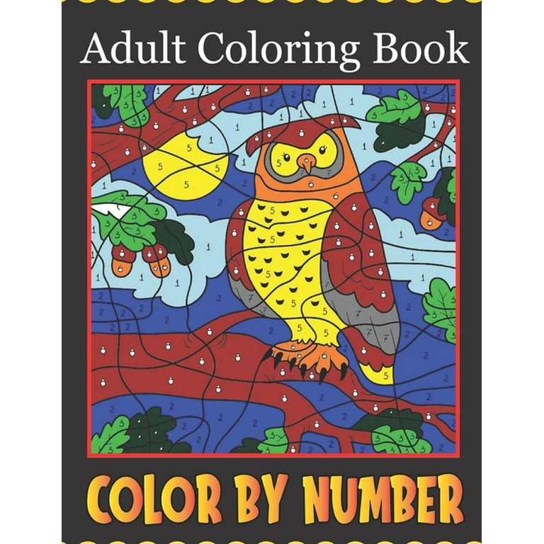 Color By Number Adult Coloring Book: color by numbers for adults adults and kids  age 8-12 spiral bound (Paperback)