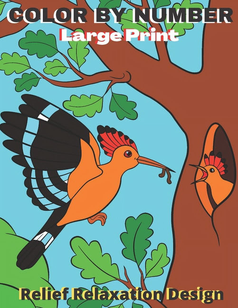 Color By Number Large Print Relief Relaxation Design : Birds, Flowers, Animals and Patterns Coloring Book For Adults (Paperback)