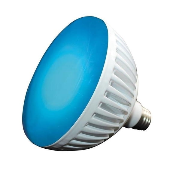 Color Changing 120 Volt LED Pool Lamp, White