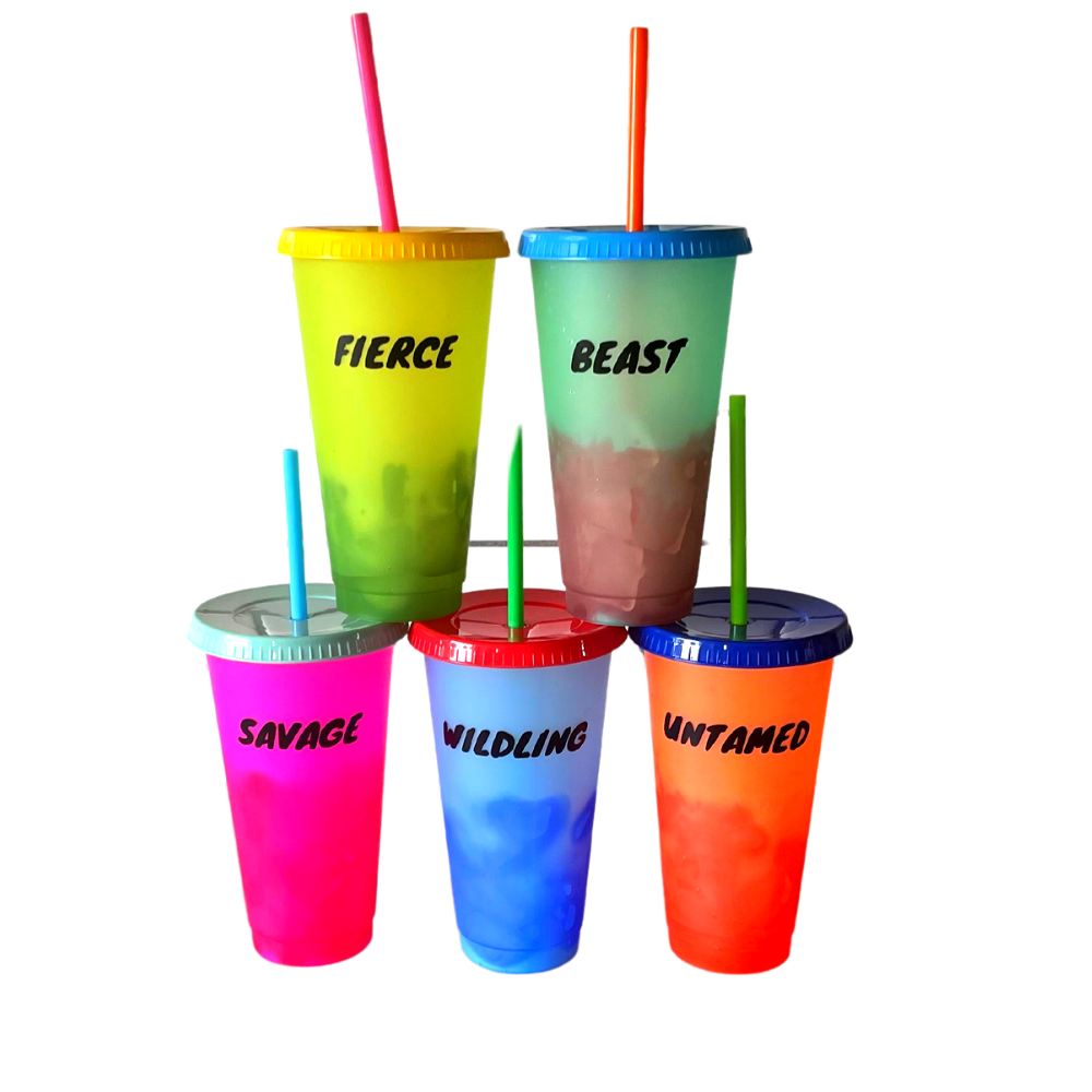 Color Changing Cups Tumblers with Lids and Straws, 24 fl oz MultiColor