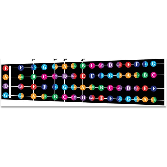 Color Coded Violin Fretboard Note Chart, Learn to Play Violin and Music Theory, Suitable for all Levels, Made in USA