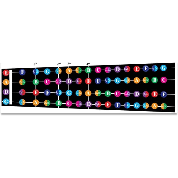 QMG Color Coded Violin Fretboard Note Chart, Learn to Play Violin and Music Theory, Suitable for all Levels, Made in USA