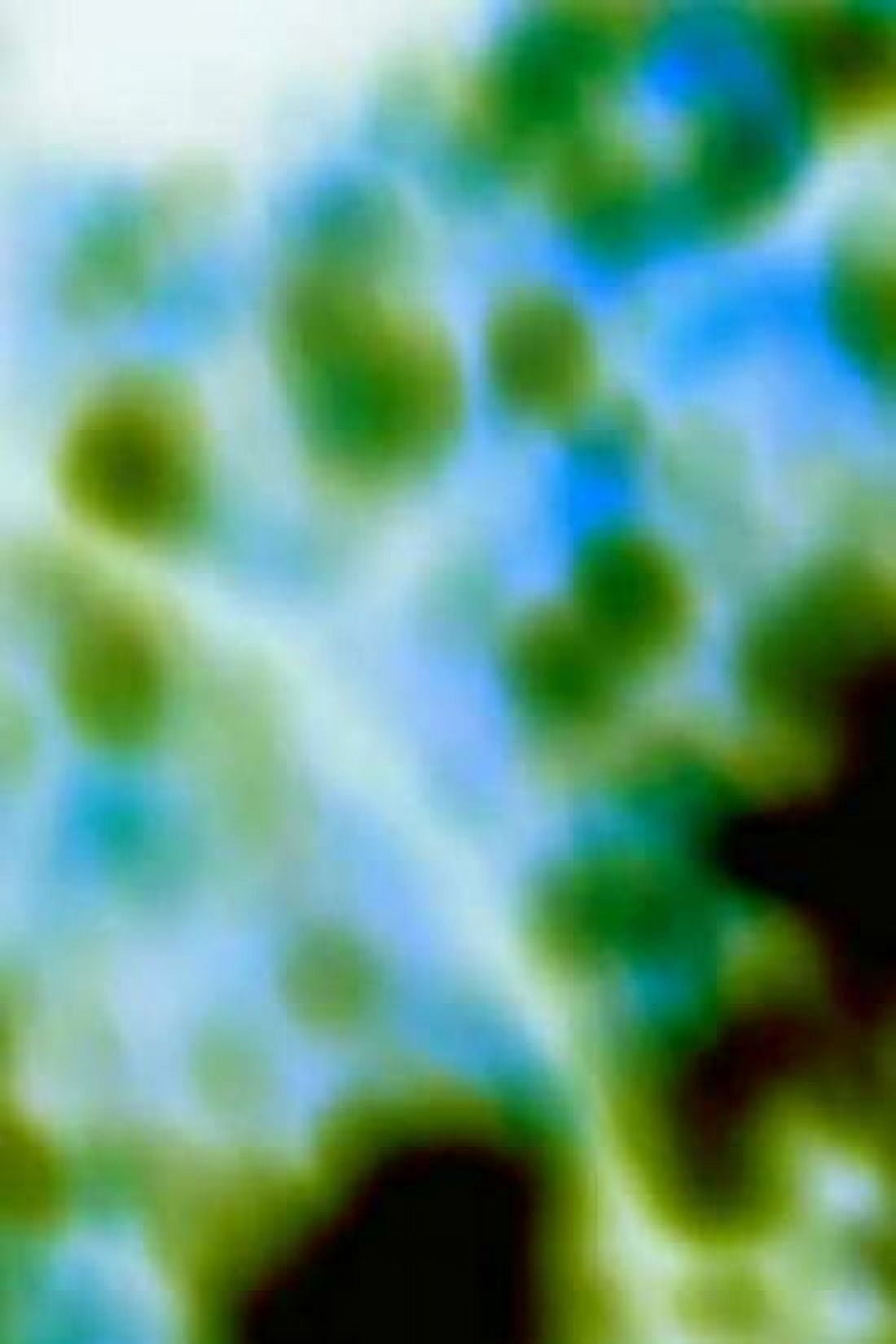 Color Drops II Canvas Art - Karyn Millet (12 x 18)