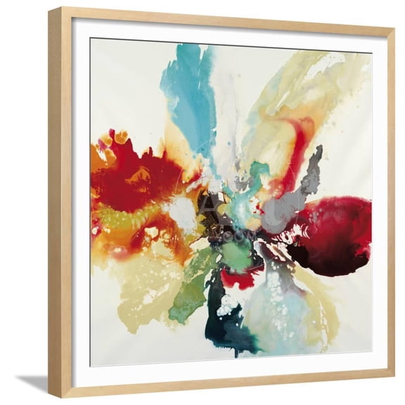 Color Expression, Abstract Framed Art Print Wall Art by Randy Hibberd Sold by Art.Com