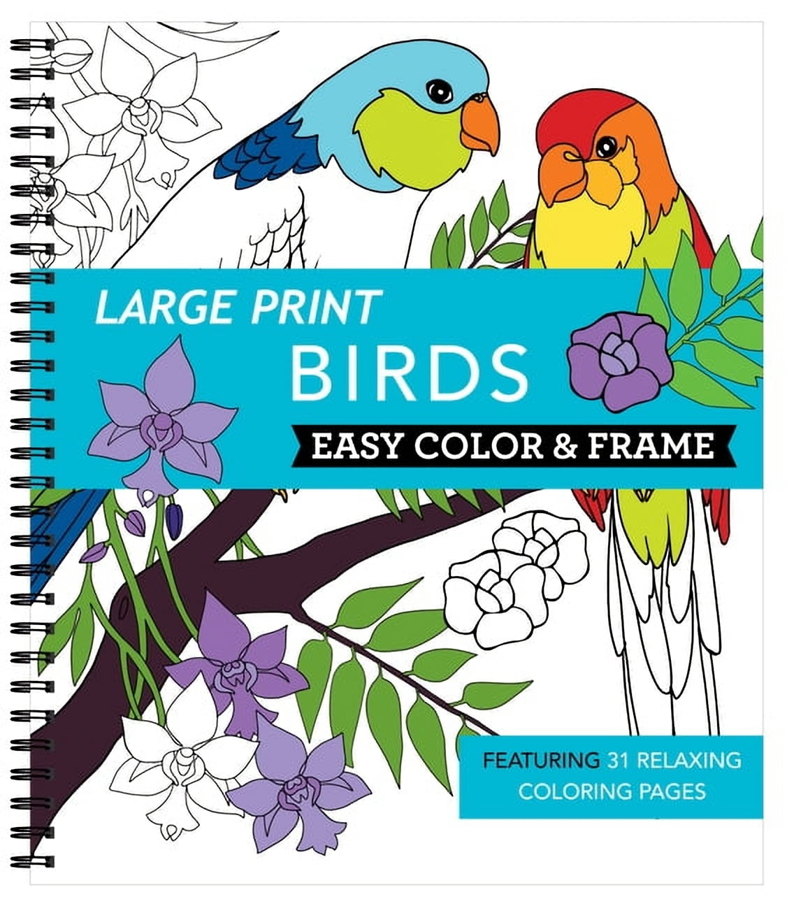 Color & Frame Large Print Easy Color & Frame - Birds (Stress Free Coloring Book), (Spiral-Bound)