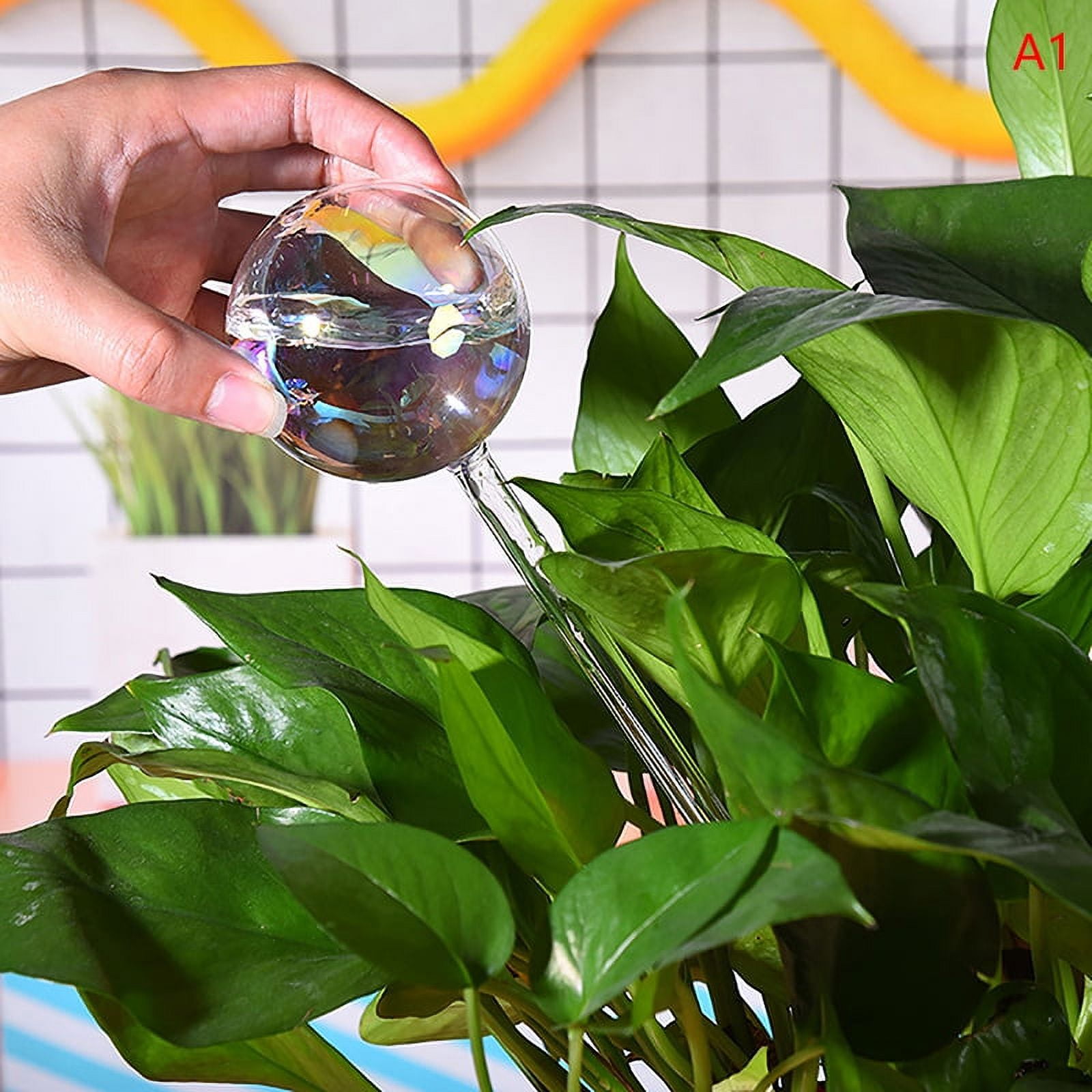Color Glass Transparent Lazy Creative Water Device Green Plant Potted ...