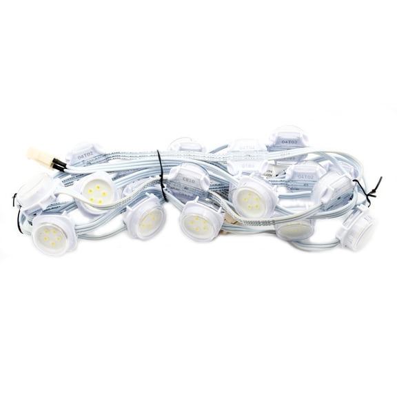 Color Kinetics 999-009033-00 EW-Flex-SLX LED Light, 20-Node, 13-CM OC, Clear, Flat, 4200K