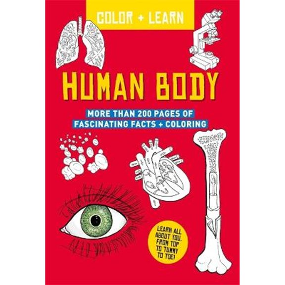 Pre-Owned Color + Learn: Human Body (Paperback)