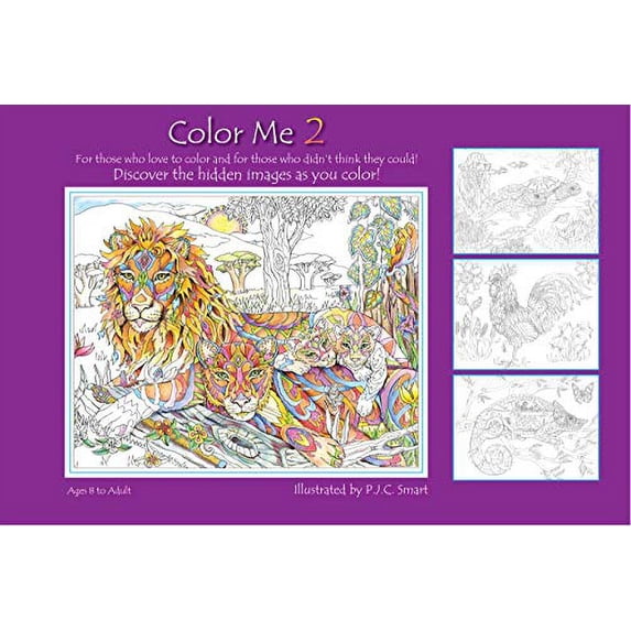 Pre-Owned Color Me Your Way 2: Volume 2 (Hardcover) by Pamela Smart