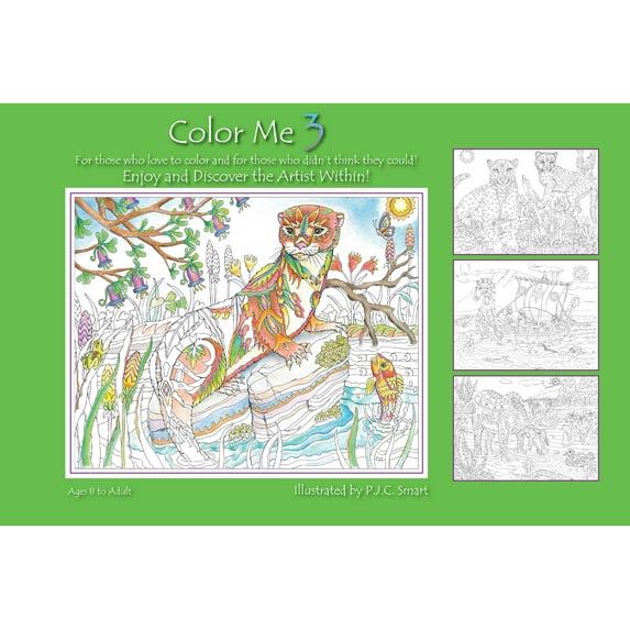 Color Me: Color Me Your Way 3 (Series #3) (Hardcover)
