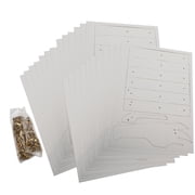 Color-Me  Dragon Gizmo Pack of 24