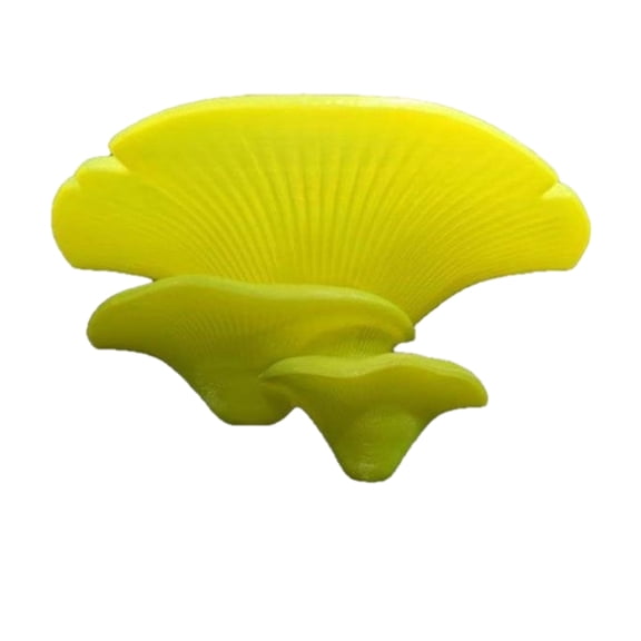 Color Mushroom Shape Decorative Stand Bracket For Phone Pen Holder And Small Organiser