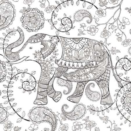 Color My World Elephant II Square Canvas Art - Brissonnet Daphne (24 x 24)