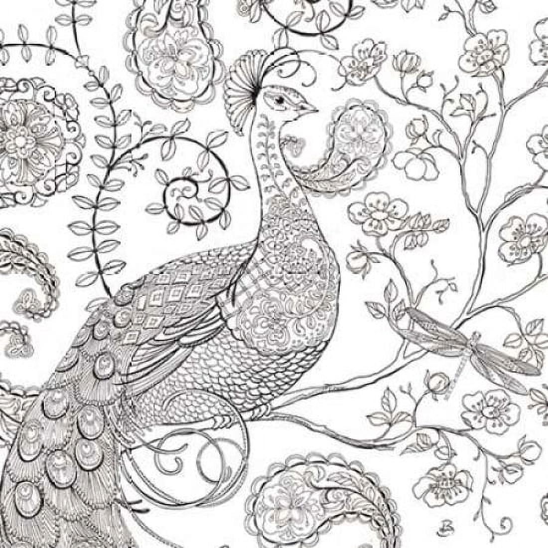 Color My World Ornate Peacock I square Canvas Art - Brissonnet Daphne (24 x 24)